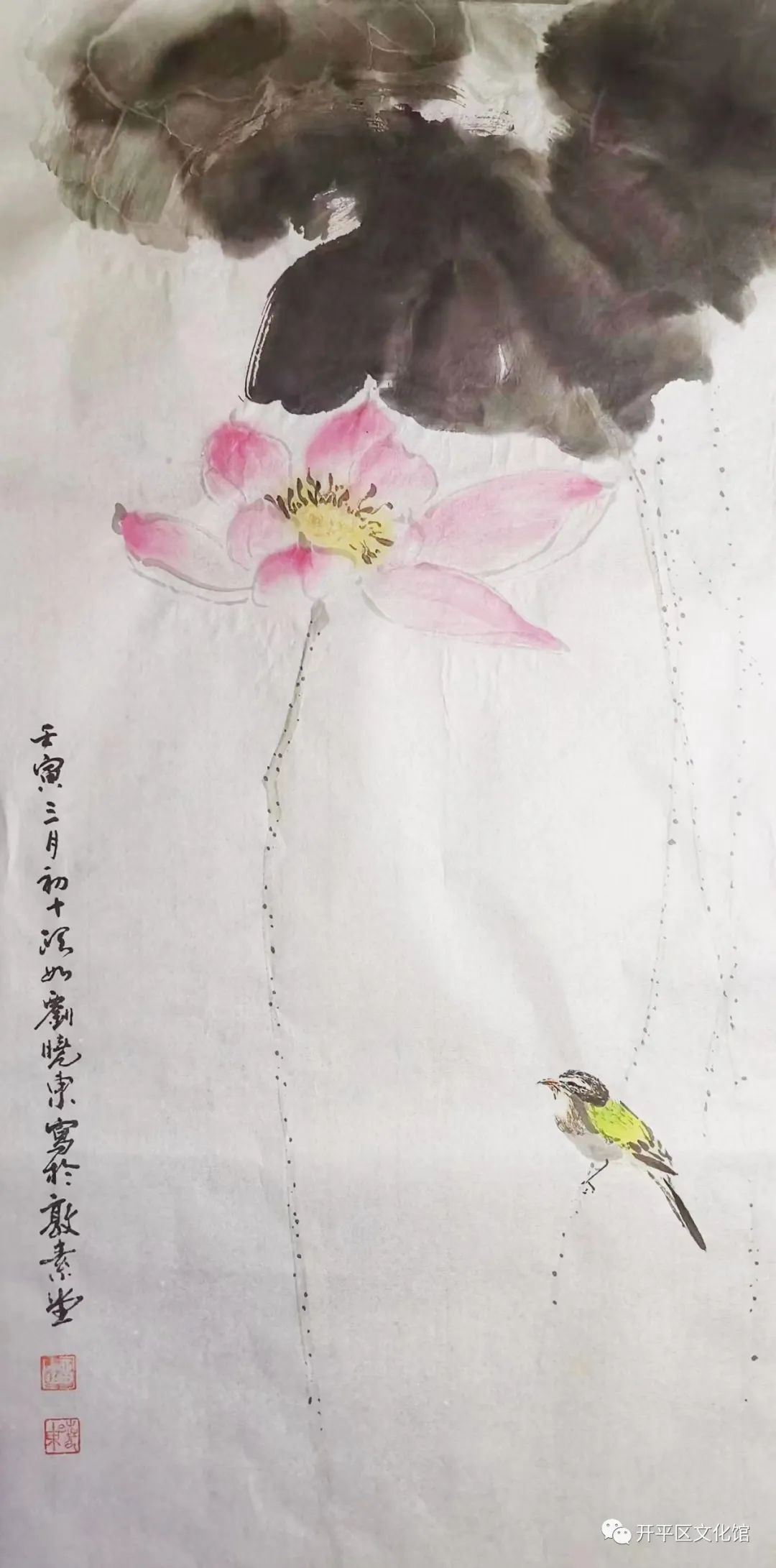 图片